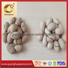 Hot Sales Healthy High Quality Pecan